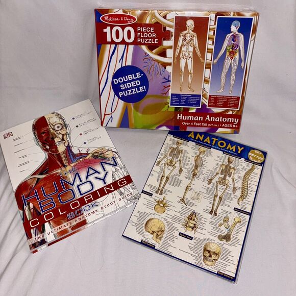 Human Anatomy Ultimate Study Bundle: Puzzle, Coloring Book And Laminated Guide - Picture 1 of 16